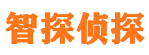 霞山婚外情调查取证